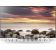 Sony Bravia (KD-65SD8505)