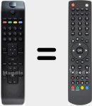 T&eacute;l&eacute;commande d'origine RC 1910 (30070046)