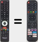 Télécommande universelle Universal TV Hisense