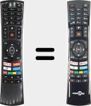 Télécommande d'origine RC4390P (23573871)
