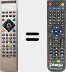 Télécommande pour remplacer 08010917