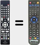 Télécommande pour remplacer RC004UD (307010064009M)