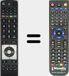 Télécommande pour remplacer RC 5110 (30069940)