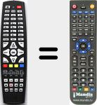 T&eacute;l&eacute;commande pour remplacer P702801006