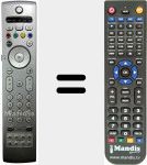 T&eacute;l&eacute;commande pour remplacer RC431001S (242254900487)