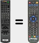 T&eacute;l&eacute;commande pour remplacer RMT-D171A (147884311)