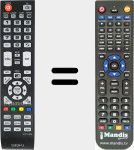 T&eacute;l&eacute;commande pour remplacer SRC11-49A