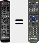 T&eacute;l&eacute;commande pour remplacer GOL001