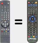 T&eacute;l&eacute;commande pour remplacer REMCON1365