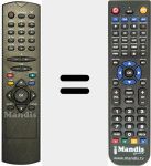 Télécommande pour remplacer RC2546BLK (30049972)