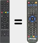 Télécommande pour remplacer TP6 (759551749500)