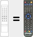 Télécommande pour remplacer 9851908205