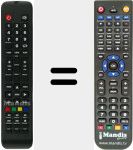 Télécommande pour remplacer 24HL5309F