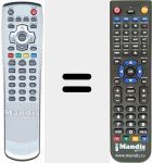 Télécommande pour remplacer REMCON873