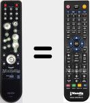 Télécommande pour remplacer RC-1118 (307010042009D)