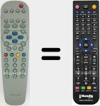 Télécommande pour remplacer RC 19039001 / 01 (313922886471)