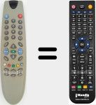 T&eacute;l&eacute;commande pour remplacer C29187F