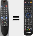 Télécommande pour remplacer 12.4 (B57187F)