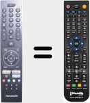 Télécommande pour remplacer RC43135P (23742145)