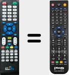 T&eacute;l&eacute;commande pour remplacer NPG013