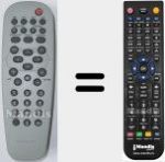 T&eacute;l&eacute;commande pour remplacer RC 19335009 / 01 (313922889251)