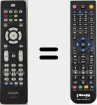 T&eacute;l&eacute;commande pour remplacer RC 2034312 / 01 (313923815651)