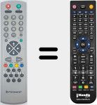 Télécommande pour remplacer RC2040 (20031272)