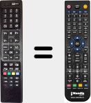 Télécommande pour remplacer RC 4846 (30076687)