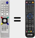 T&eacute;l&eacute;commande pour remplacer REMCON1299