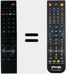 Télécommande pour remplacer RC 3920 (30065805)