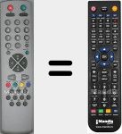 Télécommande pour remplacer RC 2040 (30034719)