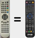 Télécommande pour remplacer RC1900 (30065008)
