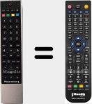 Télécommande pour remplacer RC 3910 (30065804)