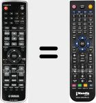 T&eacute;l&eacute;commande pour remplacer DVX-1000 (WM238700)