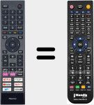 Télécommande pour remplacer ERF3D80H (T304696)