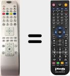 Télécommande pour remplacer RC4800 (30077447)