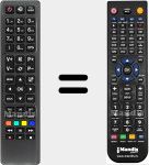 Télécommande pour remplacer RC4610 (30076338)
