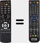 T&eacute;l&eacute;commande pour remplacer RC2900 (30067687)