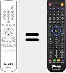 T&eacute;l&eacute;commande pour remplacer RCN 621