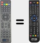 T&eacute;l&eacute;commande pour remplacer REMCON2110