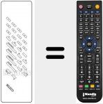 T&eacute;l&eacute;commande pour remplacer REMCON166