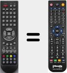 T&eacute;l&eacute;commande pour remplacer RCC301