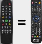 T&eacute;l&eacute;commande pour remplacer RG419DS1