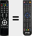 T&eacute;l&eacute;commande pour remplacer RC2960 (30068666)