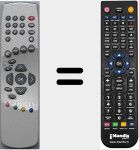 T&eacute;l&eacute;commande pour remplacer RC31DXSM