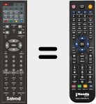 T&eacute;l&eacute;commande pour remplacer 198DIVXTDT