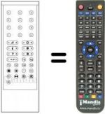 Télécommande équivalente RC1000