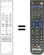 Télécommande équivalente RC505