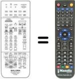 Télécommande équivalente RC9800