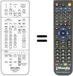 Télécommande équivalente RC9900